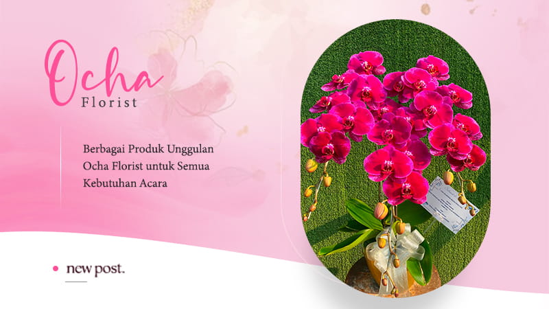 Artikel Ocha Florist 3
